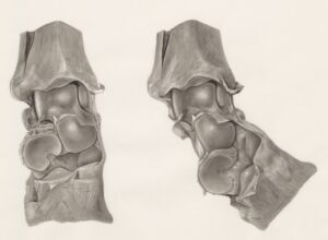 11. The Effect of Poor Posture on Joint Health and How to Correct It for Better Alignment